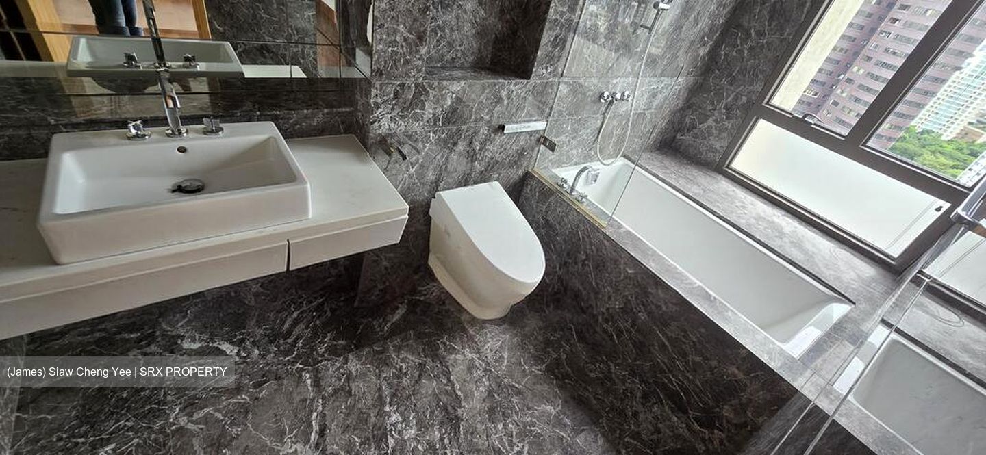 Parkview Eclat (D10), Condominium #499820521